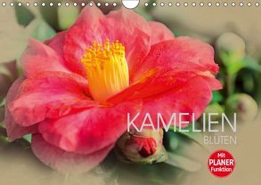 Kamelien Blüten (Wandkalender 2019 DIN A4 quer) von Meutzner,  Dirk