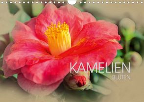 Kamelien Blüten (Wandkalender 2020 DIN A4 quer) von Meutzner,  Dirk