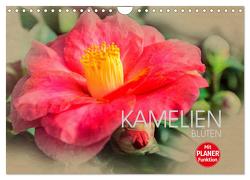 Kamelien Blüten (Wandkalender 2024 DIN A4 quer), CALVENDO Monatskalender von Meutzner,  Dirk