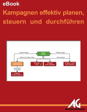 Kampagnen effektiv planen, steuern und durchführen von Grutzeck,  Markus