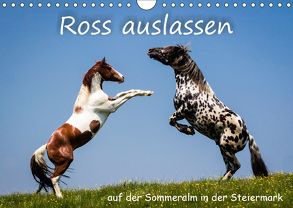 Kampf der Hengste – Ross auslassen auf der SommeralmAT-Version (Wandkalender 2018 DIN A4 quer) von Reisenhofer,  Richard