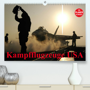 Kampfflugzeuge USA (Premium, hochwertiger DIN A2 Wandkalender 2023, Kunstdruck in Hochglanz) von Stanzer,  Elisabeth