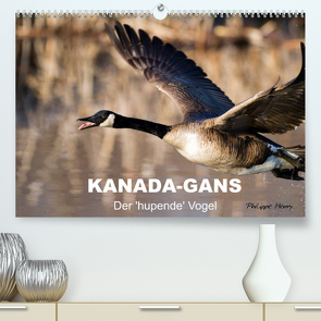 KANADA-GANS – Der ‚hupende‘ Vogel (Premium, hochwertiger DIN A2 Wandkalender 2022, Kunstdruck in Hochglanz) von Henry,  Philippe