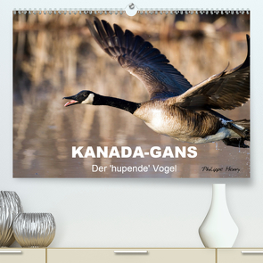 KANADA-GANS – Der ‚hupende‘ Vogel (Premium, hochwertiger DIN A2 Wandkalender 2020, Kunstdruck in Hochglanz) von Henry,  Philippe