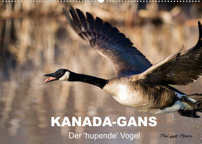 KANADA-GANS – Der ‚hupende‘ Vogel (Wandkalender 2022 DIN A2 quer) von Henry,  Philippe