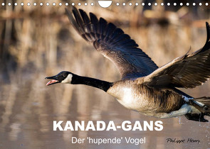 KANADA-GANS – Der ‚hupende‘ Vogel (Wandkalender 2022 DIN A4 quer) von Henry,  Philippe