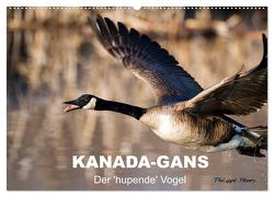 KANADA-GANS – Der ‚hupende‘ Vogel (Wandkalender 2024 DIN A2 quer), CALVENDO Monatskalender von Henry,  Philippe
