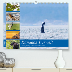 Kanadas Tierwelt – Bären, Wale und vieles mehr (Premium, hochwertiger DIN A2 Wandkalender 2023, Kunstdruck in Hochglanz) von ellenlichtenheldt