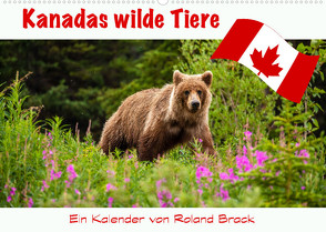 Kanadas Wilde Tiere (Wandkalender 2023 DIN A2 quer) von Brack,  Roland
