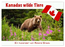 Kanadas Wilde Tiere (Wandkalender 2024 DIN A2 quer), CALVENDO Monatskalender von Brack,  Roland