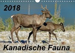 Kanadische Fauna 2018 (Wandkalender 2018 DIN A4 quer) von Schug,  Stefan