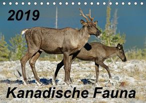 Kanadische Fauna 2019 (Tischkalender 2019 DIN A5 quer) von Schug,  Stefan