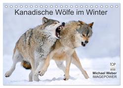 Kanadische Wölfe im Winter (Tischkalender 2024 DIN A5 quer), CALVENDO Monatskalender von Weber,  Michael