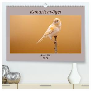 Kanarienvögel – Bunte Welt (hochwertiger Premium Wandkalender 2024 DIN A2 quer), Kunstdruck in Hochglanz von Akrema-Photography,  Akrema-Photography