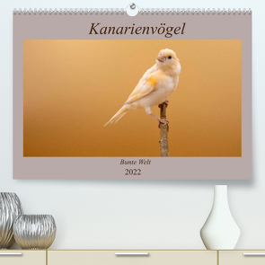 Kanarienvögel – Bunte Welt (Premium, hochwertiger DIN A2 Wandkalender 2022, Kunstdruck in Hochglanz) von Akrema-Photography