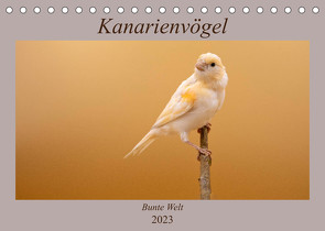 Kanarienvögel – Bunte Welt (Tischkalender 2023 DIN A5 quer) von Akrema-Photography