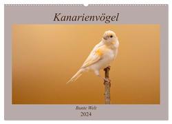 Kanarienvögel – Bunte Welt (Wandkalender 2024 DIN A2 quer), CALVENDO Monatskalender von Akrema-Photography,  Akrema-Photography