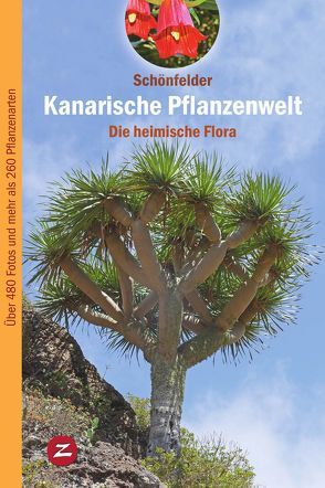 Kanarische Pflanzenwelt von Schönfelder,  Ingrid, Schönfelder,  Peter