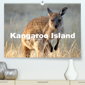 Kangaroo Island (Premium, hochwertiger DIN A2 Wandkalender 2021, Kunstdruck in Hochglanz) von Schickert,  Peter