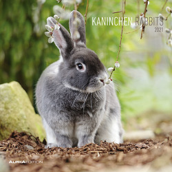 Kaninchen 2021 – Broschürenkalender 30×30 cm (30×60 geöffnet) – Rabbits – Bild-Kalender – Wandplaner – mit Platz für Notizen – Alpha Edition
