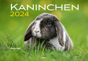 Kaninchen Eintragkalender 2024