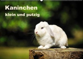 Kaninchen klein und putzig (Premium, hochwertiger DIN A2 Wandkalender 2022, Kunstdruck in Hochglanz) von Janetzek,  Yvonne