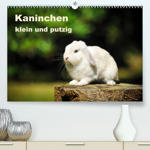 Kaninchen klein und putzig (Premium, hochwertiger DIN A2 Wandkalender 2023, Kunstdruck in Hochglanz) von Janetzek,  Yvonne