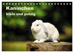 Kaninchen klein und putzig (Tischkalender 2024 DIN A5 quer), CALVENDO Monatskalender von Janetzek,  Yvonne