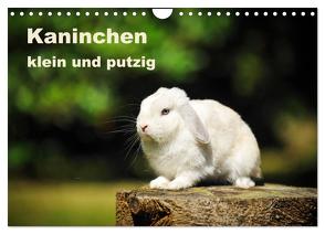 Kaninchen klein und putzig (Wandkalender 2024 DIN A4 quer), CALVENDO Monatskalender von Janetzek,  Yvonne