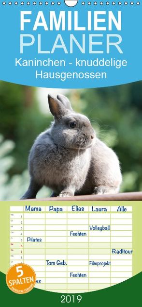 Kaninchen – knuddelige Hausgenossen – Familienplaner hoch (Wandkalender 2019 , 21 cm x 45 cm, hoch) von Verena Scholze,  Fotodesign