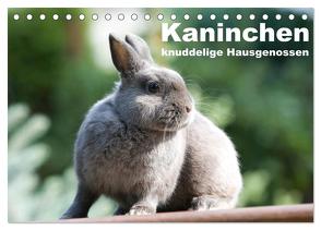 Kaninchen – knuddelige Hausgenossen (Tischkalender 2024 DIN A5 quer), CALVENDO Monatskalender von Verena Scholze,  Fotodesign