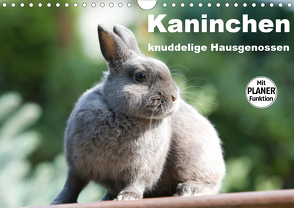 Kaninchen – knuddelige Hausgenossen (Wandkalender 2021 DIN A4 quer) von Verena Scholze,  Fotodesign