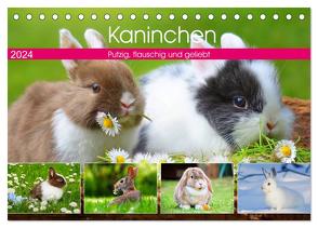 Kaninchen. Putzig, flauschig und geliebt (Tischkalender 2024 DIN A5 quer), CALVENDO Monatskalender von Hurley,  Rose