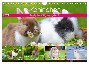 Kaninchen. Putzig, flauschig und geliebt (Wandkalender 2024 DIN A4 quer), CALVENDO Monatskalender von Hurley,  Rose