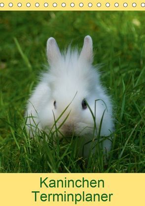 Kaninchen Terminplaner (Tischkalender 2019 DIN A5 hoch) von kattobello