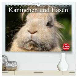 Kaninchen und Hasen (hochwertiger Premium Wandkalender 2024 DIN A2 quer), Kunstdruck in Hochglanz von Stanzer,  Elisabeth