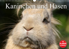 Kaninchen und Hasen (Wandkalender 2022 DIN A3 quer) von Stanzer,  Elisabeth