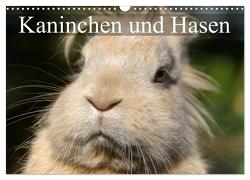 Kaninchen und Hasen (Wandkalender 2024 DIN A3 quer), CALVENDO Monatskalender von Stanzer,  Elisabeth