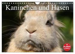 Kaninchen und Hasen (Wandkalender 2024 DIN A4 quer), CALVENDO Monatskalender von Stanzer,  Elisabeth