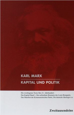 Kapital und Politik von Marx,  Karl, Nienhaus,  Lisa
