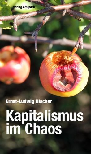 Kapitalismus im Chaos von Hischer,  Ernst-Ludwig