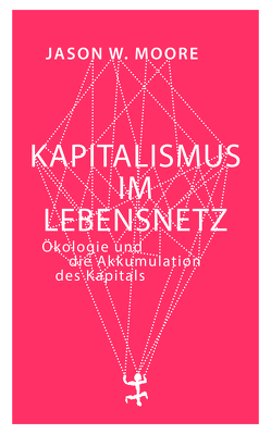 Kapitalismus im Lebensnetz von Höfer,  Dirk, Moore,  Jason W.