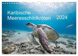 Karibische Meeresschildkröten (Wandkalender 2024 DIN A4 quer), CALVENDO Monatskalender von & Tilo Kühnast- naturepics,  Yvonne