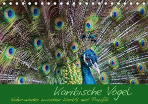 Karibische Vögel – Naturwunder zwischen Karibik und Pazifik (Tischkalender 2020 DIN A5 quer) von M.Polok