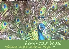 Karibische Vögel – Naturwunder zwischen Karibik und Pazifik (Wandkalender 2018 DIN A2 quer) von M.Polok