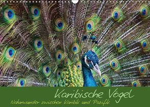 Karibische Vögel – Naturwunder zwischen Karibik und Pazifik (Wandkalender 2018 DIN A3 quer) von M.Polok