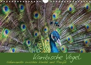 Karibische Vögel – Naturwunder zwischen Karibik und Pazifik (Wandkalender 2018 DIN A4 quer) von M.Polok