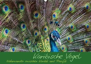 Karibische Vögel – Naturwunder zwischen Karibik und Pazifik (Wandkalender 2019 DIN A2 quer) von M.Polok