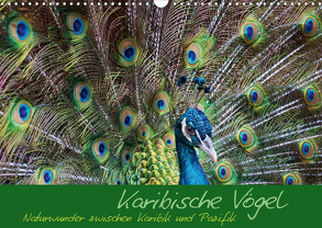 Karibische Vögel – Naturwunder zwischen Karibik und Pazifik (Wandkalender 2020 DIN A3 quer) von M.Polok
