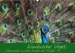 Karibische Vögel – Naturwunder zwischen Karibik und Pazifik (Wandkalender 2021 DIN A2 quer) von M.Polok
